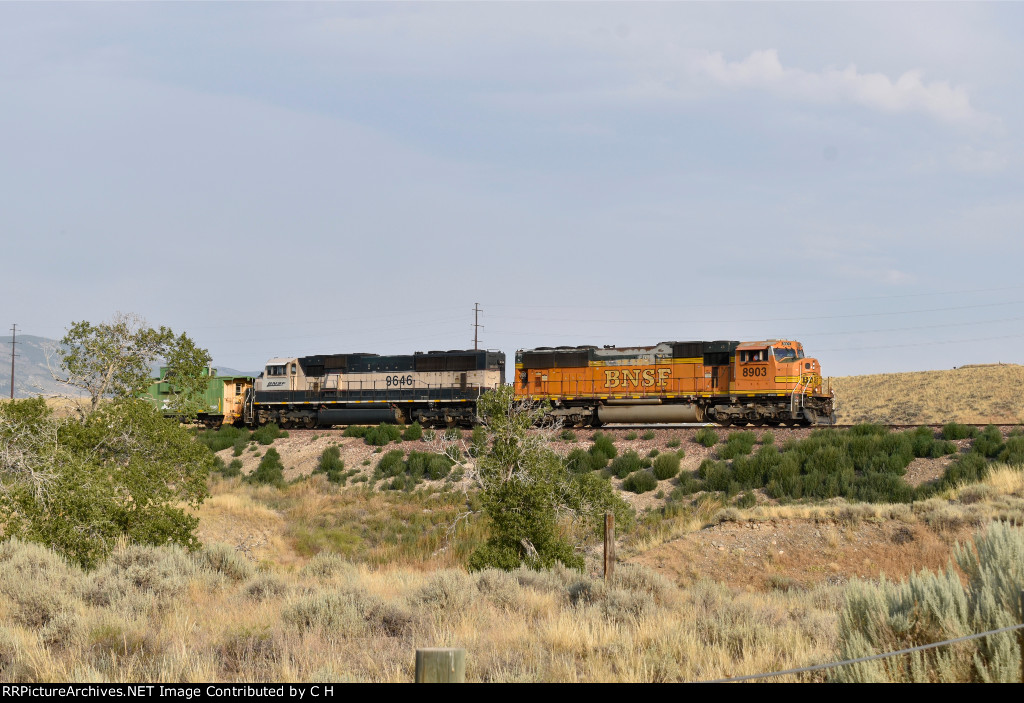 BNSF 8903/9646